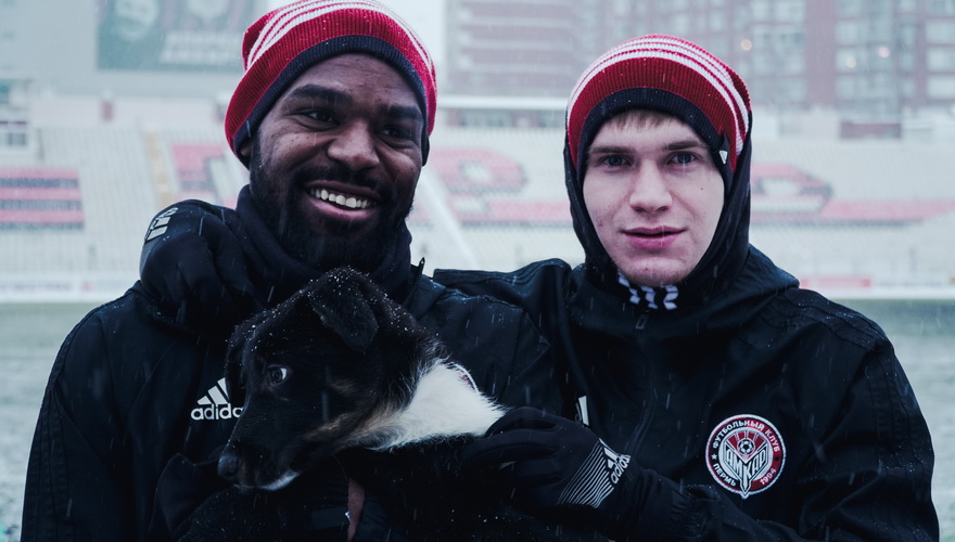 Футболисты «Амкара» помогли бездомным собакам найти хозяев